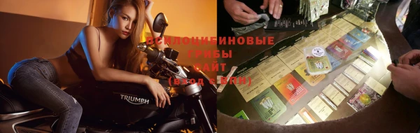 дживик Белокуриха