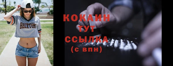 дживик Белокуриха