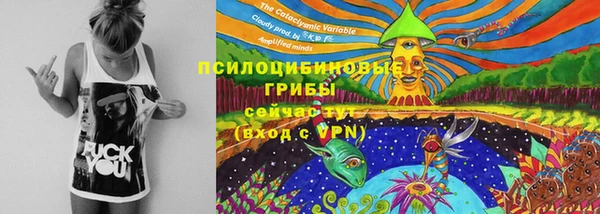 дживик Белокуриха