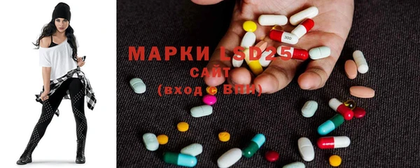 дживик Белокуриха